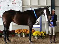 New Start grad Suances Cowgirl New Start grad Suances Cowgirl